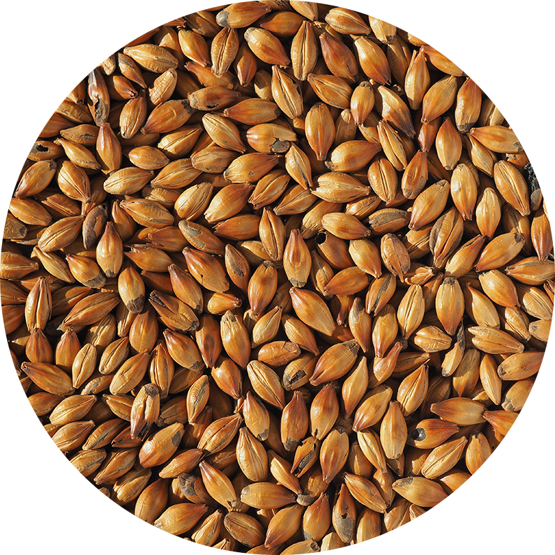 Crystal 400 Crisp, hel malt, 1 kg