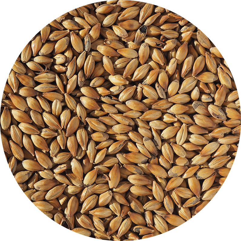 Crystal 240 Crisp, hel malt, 1 kg