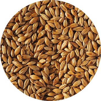 Cara Malt (Crisp), hel, 1 kg