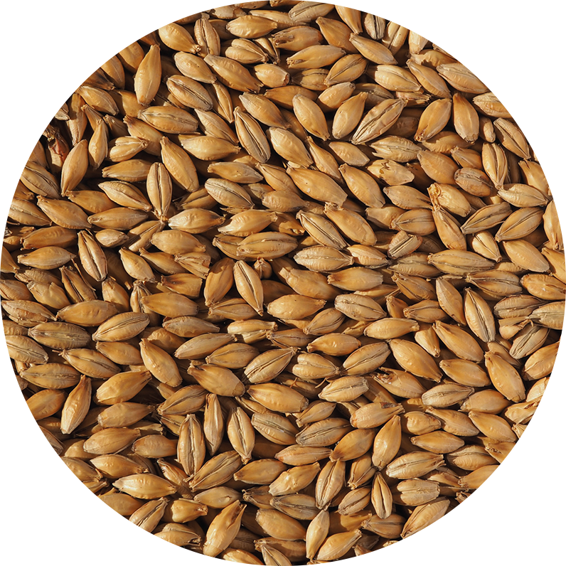 Best Ale Malt Crisp, hel malt, 1 kg