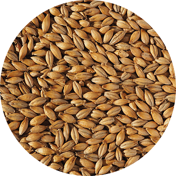 Best Ale Malt (Crisp), whole, 1 kg