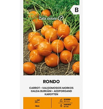 Morot "Rondo"