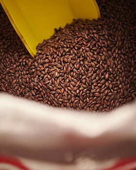 Carafa® 2 Special  (Weyermann®), hel, 25 kg
