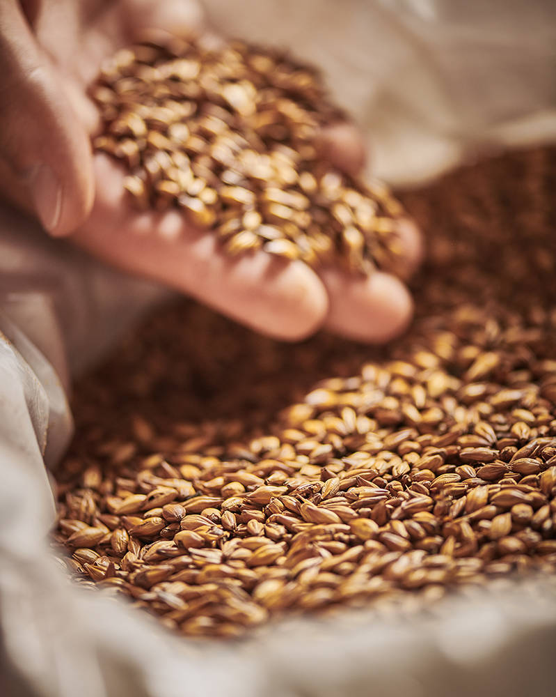 Floor-Malted Bohemian Pilsner Malt (Weyermann®), whole, 25 kg - 2