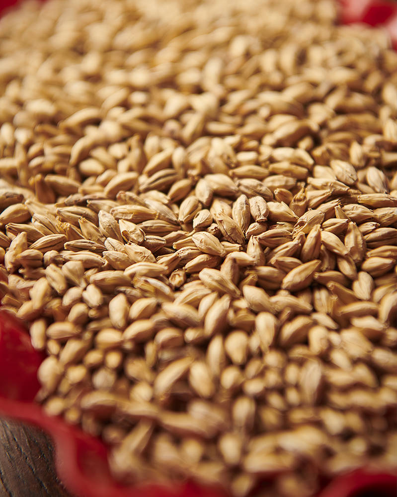 Munich Malt Type 2 (Weyermann®), whole, 1 kg - 2