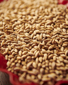 Munich Malt 2 (Weyermann®), hel, 1 kg