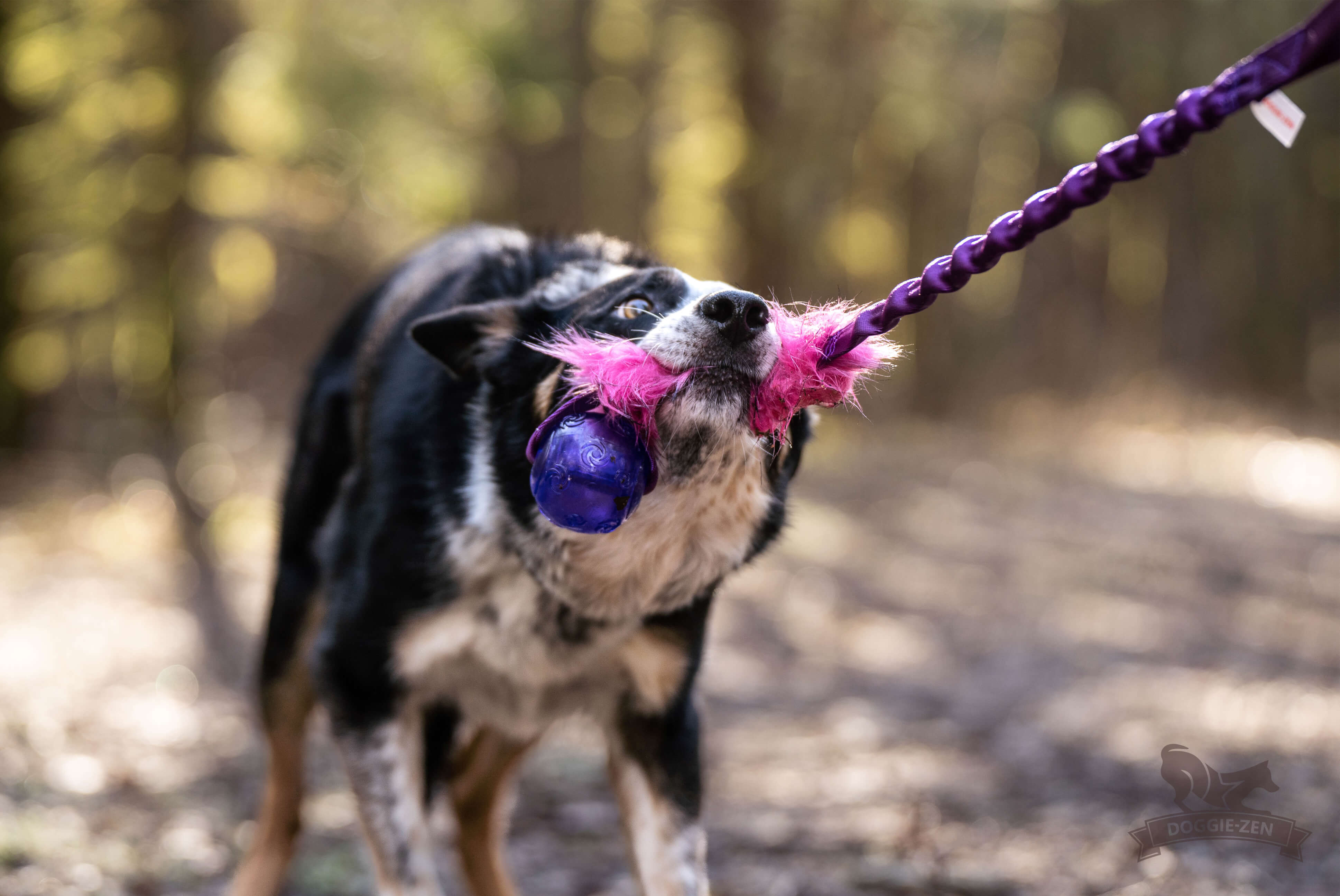 Bungee Fake Fur Tug L with KONG Squeezz Ball - 5