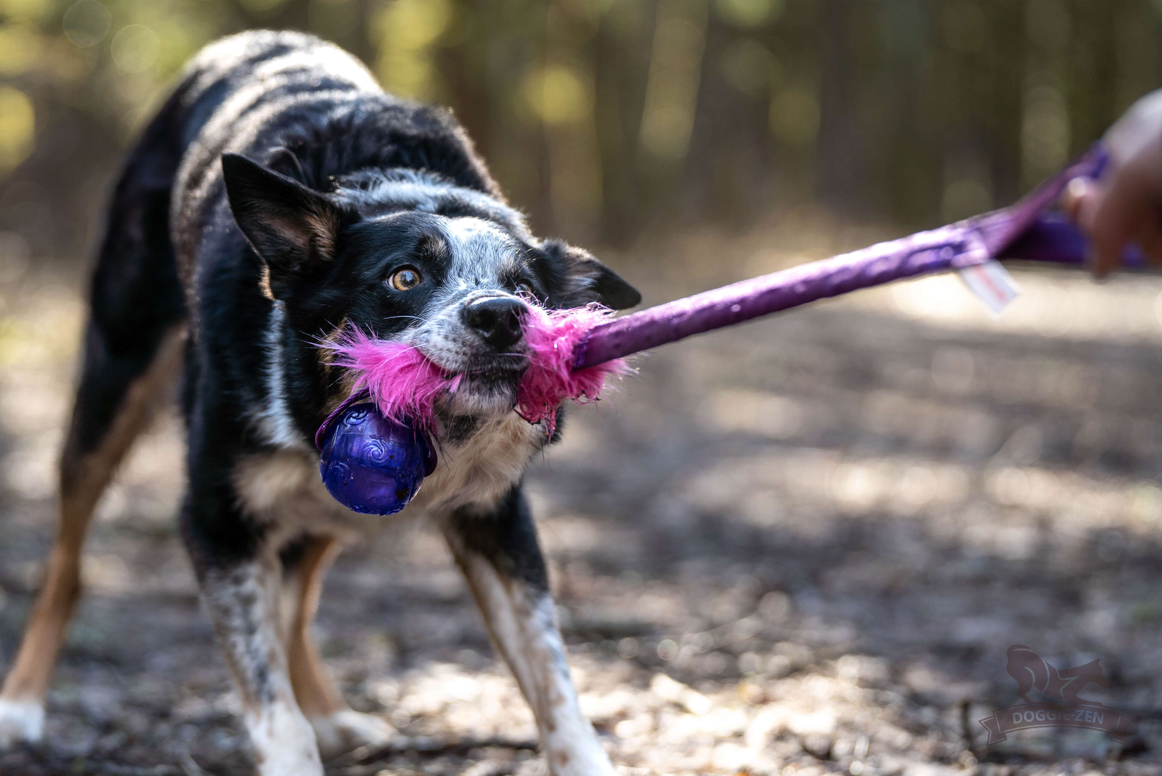 fake kong dog toy