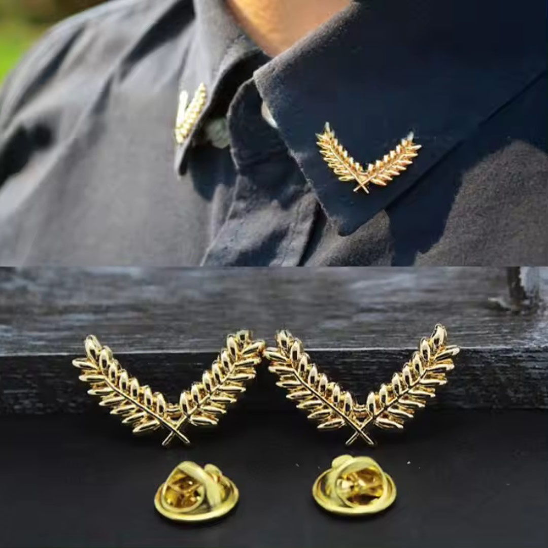 Brosch vingar i guld på skjorta