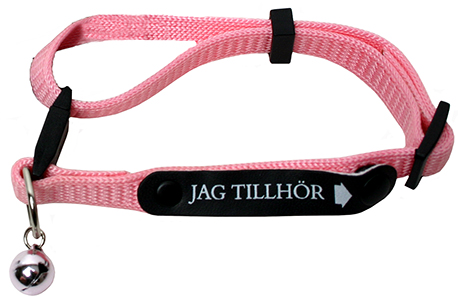 Katthalsband Jag tillhör Rosa