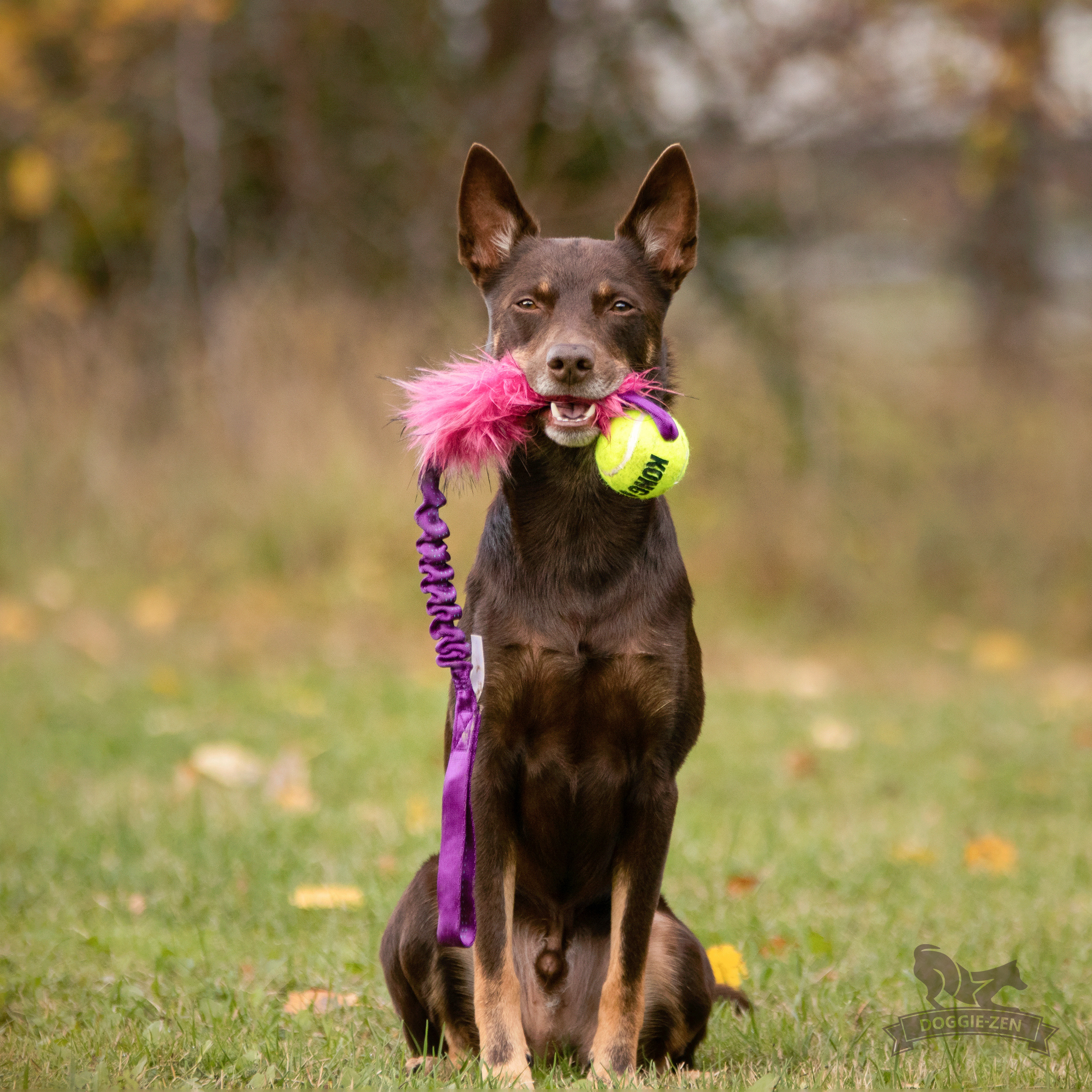Bungee Fake Fur Tug L with KONG Air Squeaker Ball - 3