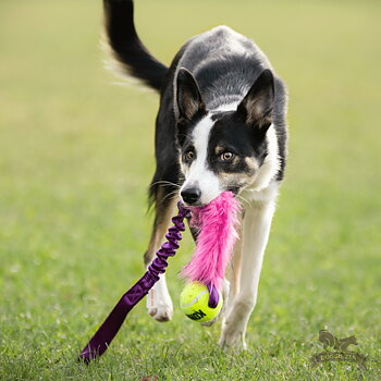 Bungee Fake Fur Tug L with KONG Air Squeaker Ball