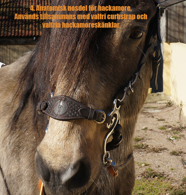 Headstall (anatomical) Barefoot® Contour Physio - 14