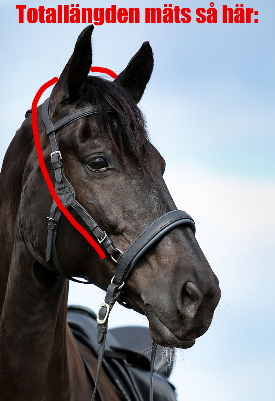 Headstall (anatomical) Barefoot® Contour Physio - 4