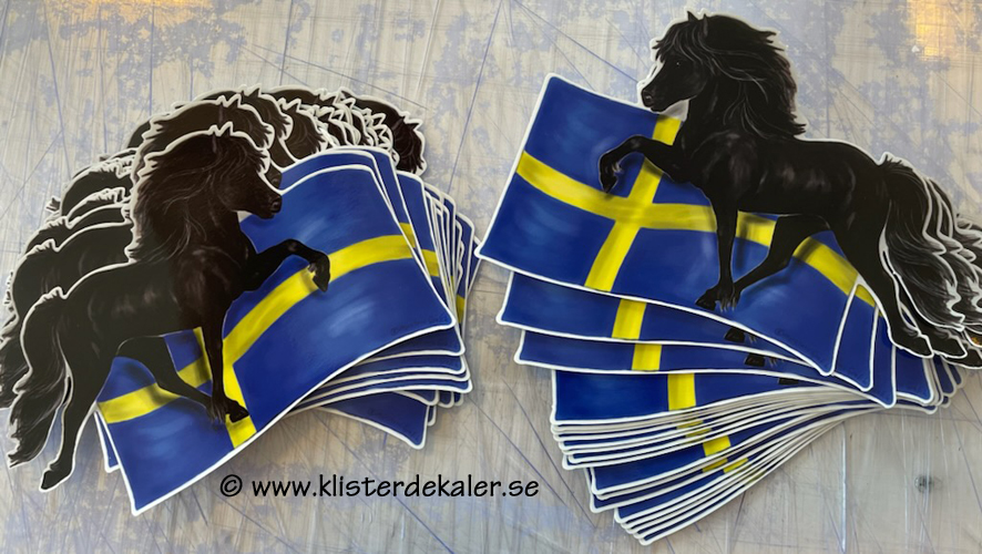 Islandshäst med Svenska flaggan, bildekor - 3