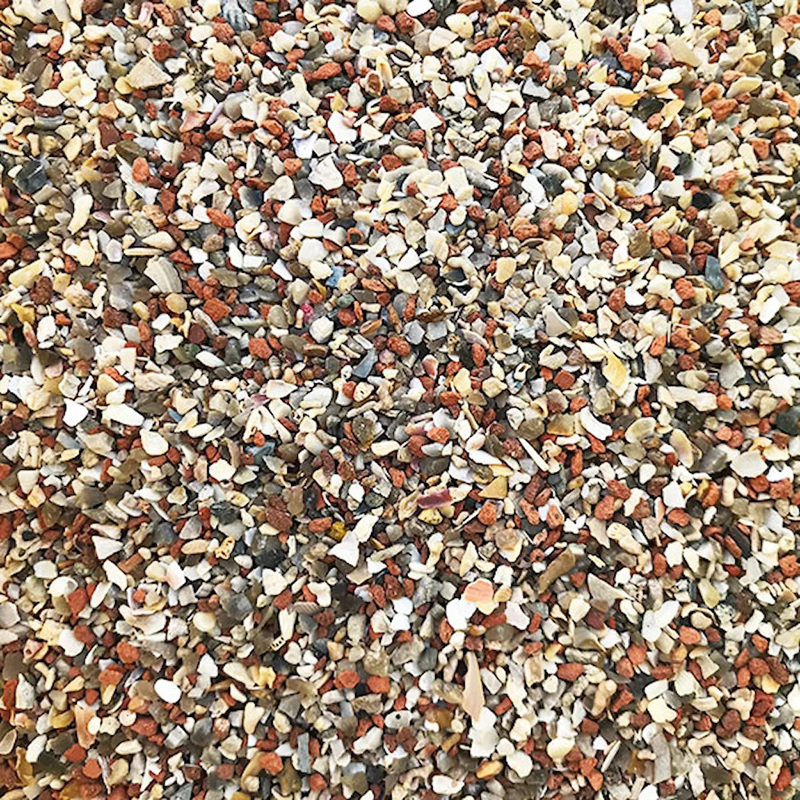 Grit Med Coral och snäckskal 2,5 kg - 2