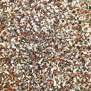 Grit Med Coral och snäckskal 2,5 kg