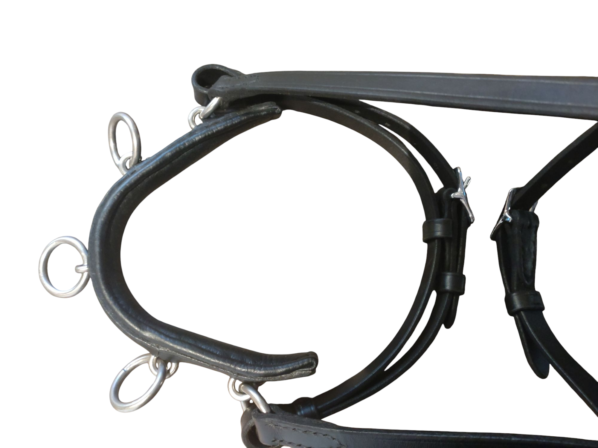 1101. Cavesson Cavalos - Fixed iron - 2