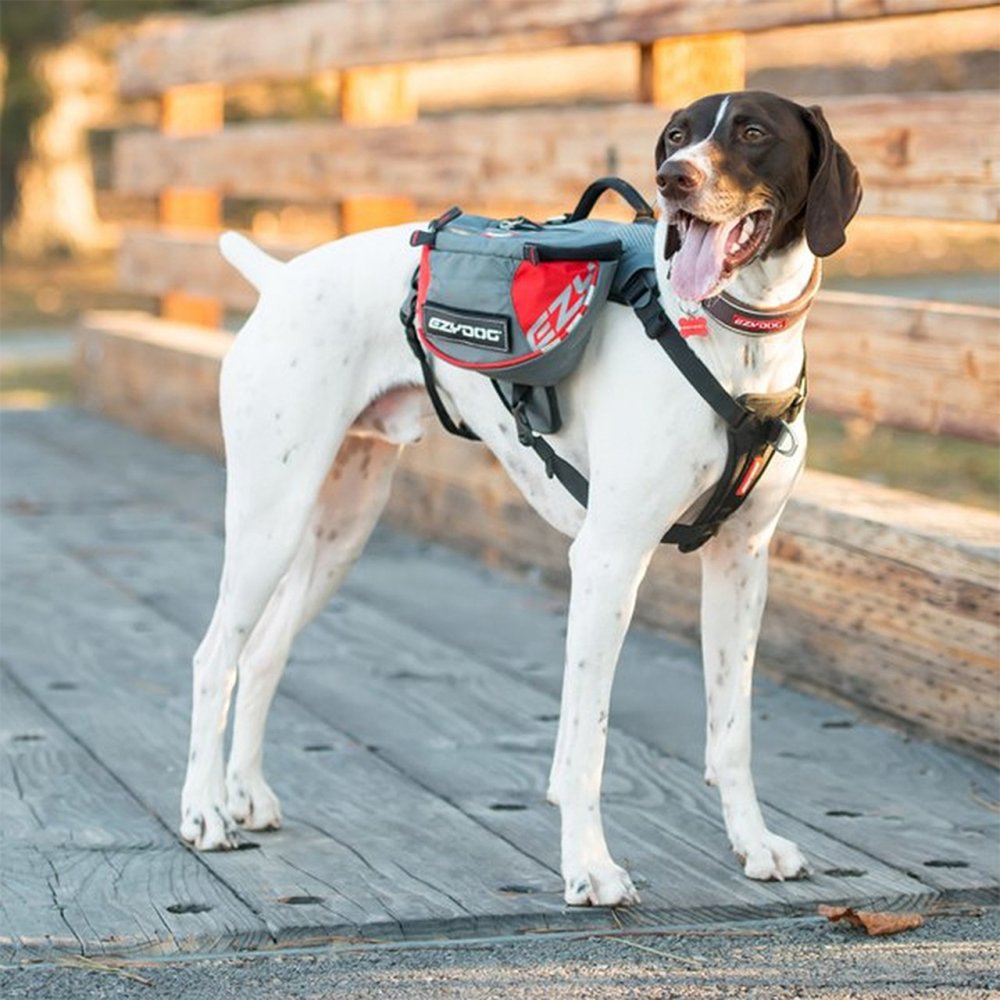 EzyDog Summit m reflex - 4