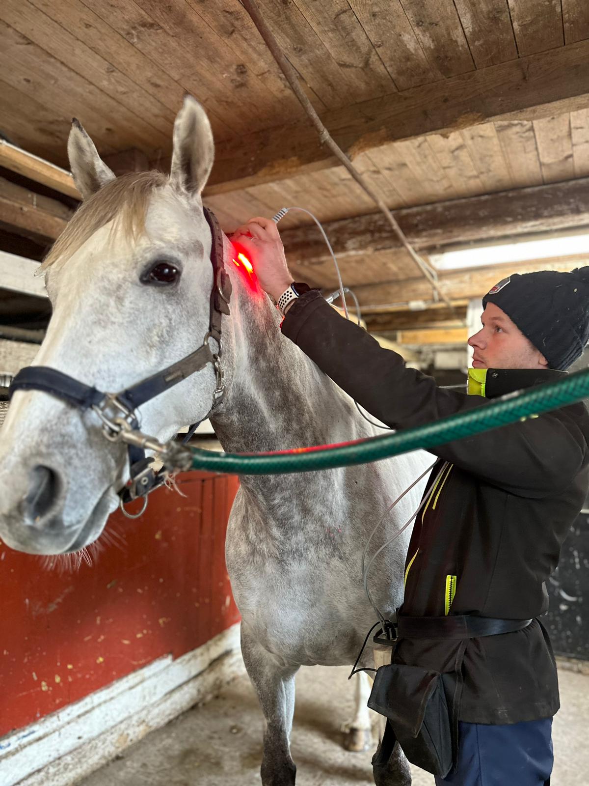 PharmaLight Photizo Professional Equine
