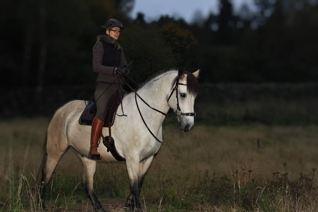 4300. Dressage Girth - Deuber & Partner - 7