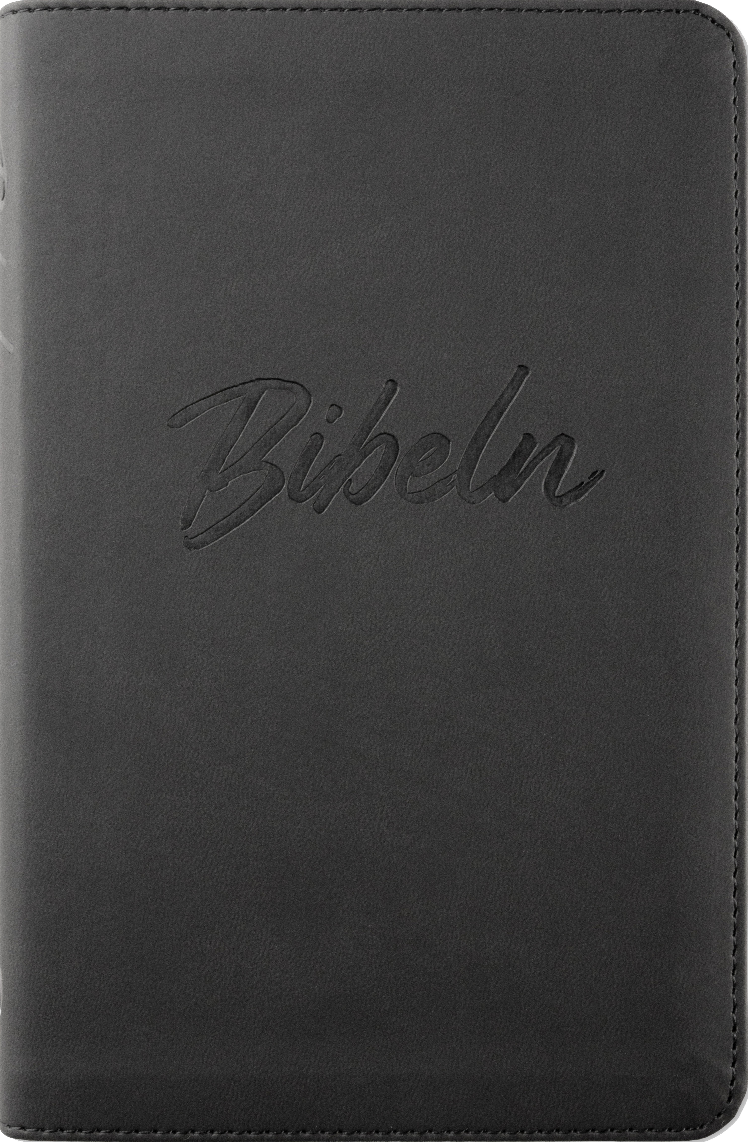 Nya Levande Bibeln 2015 - Konstskinn Svart