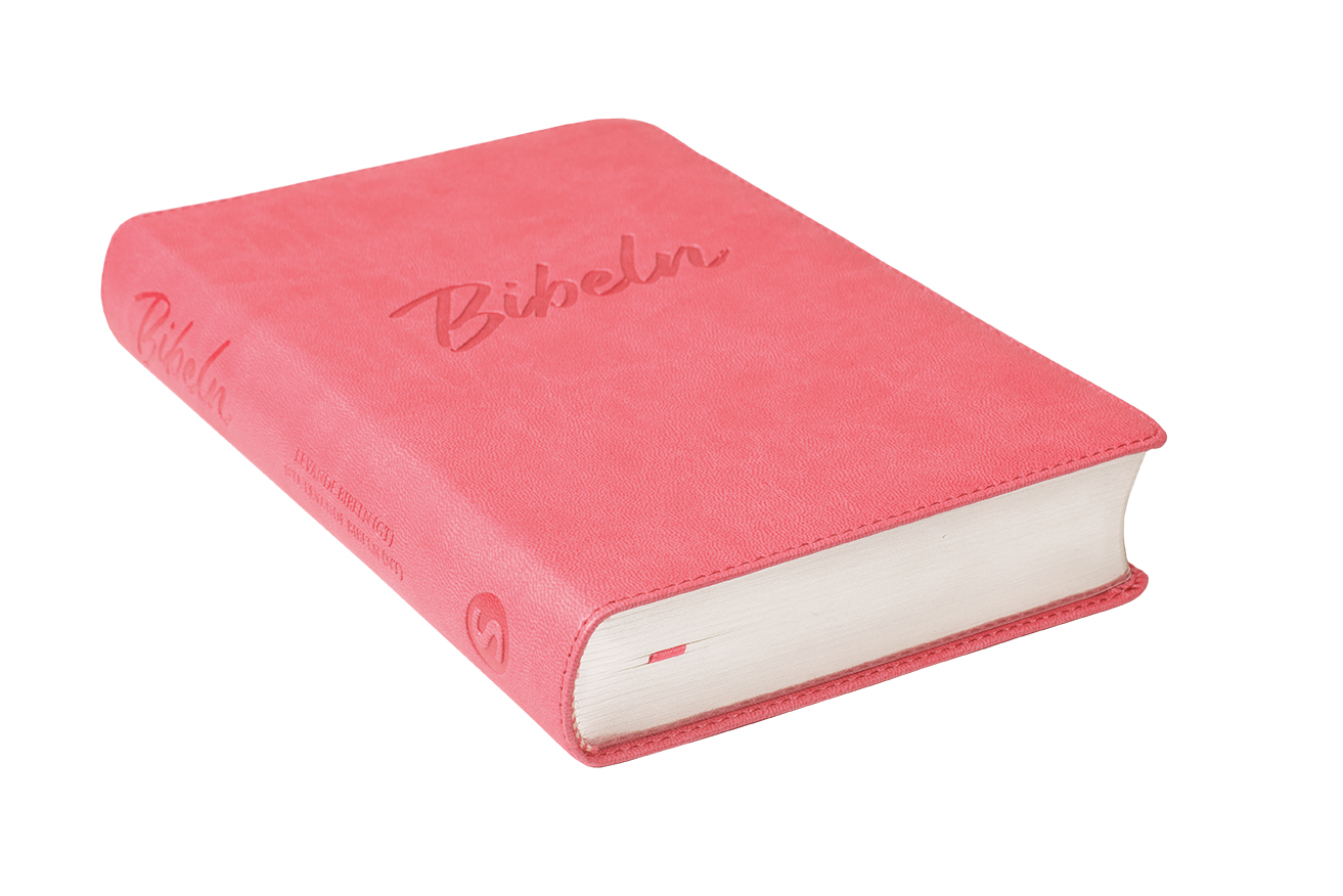 Nya Levande Bibeln 2015 - Konstskinn Rosa