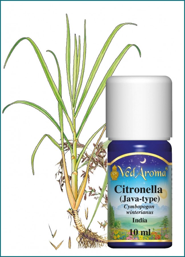Citronella eterisk olja eko. 10 ml