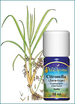 Citronella essential oil