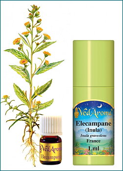 Elecampane essential oil