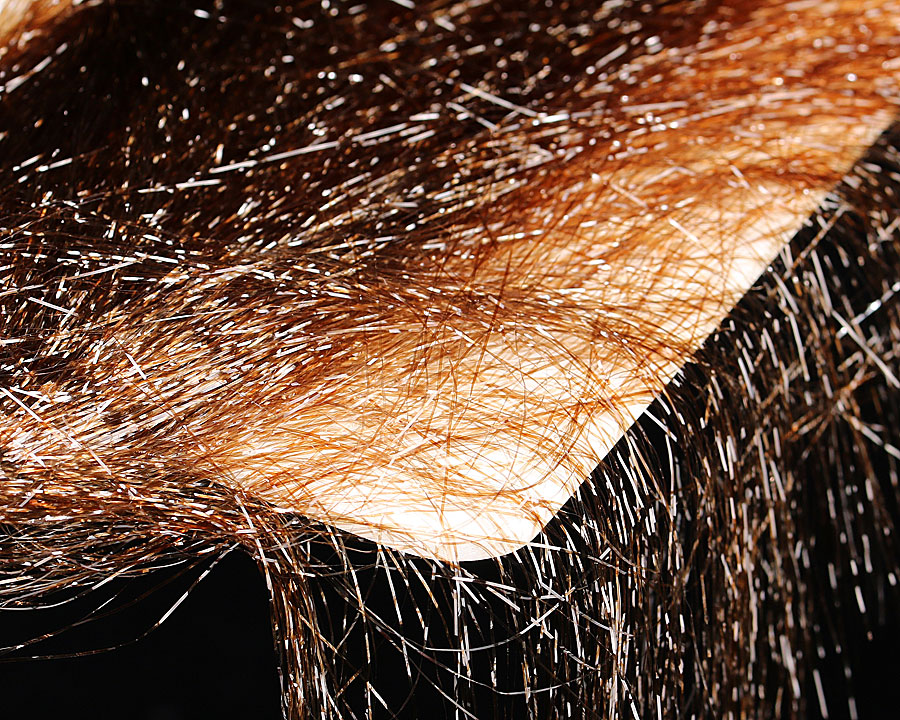 Fine Hair - 13