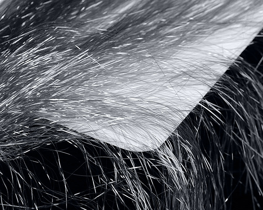 Fine Hair - 3