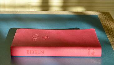 Svenska Folkbibeln 2015 Slimline, rosa skinnimitation