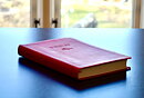 Svenska Folkbibeln 2015 Slimline, rosa skinnimitation