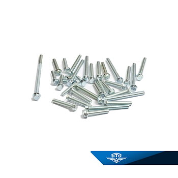 screw set Engine Honda MT50 / MB50