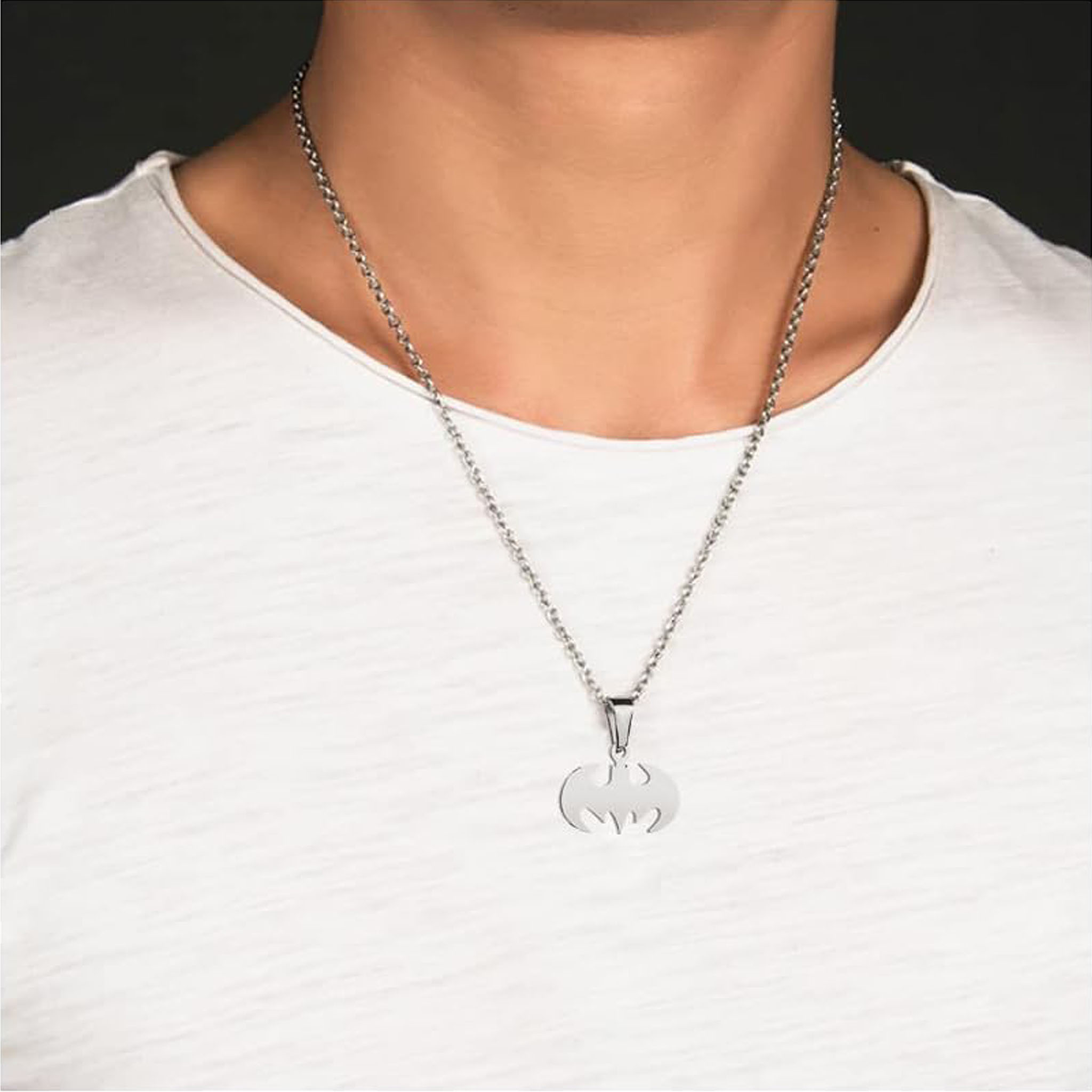 Batman Halsband - ID-Bricka Dog Tag - 3