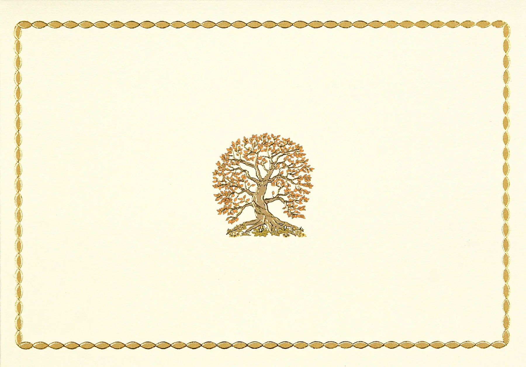 14 Boxed Note Cards, Tree of Life