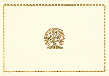14 Boxed Note Cards, Tree of Life