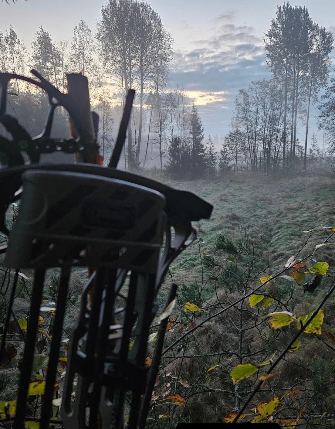 Bågskytte 3D