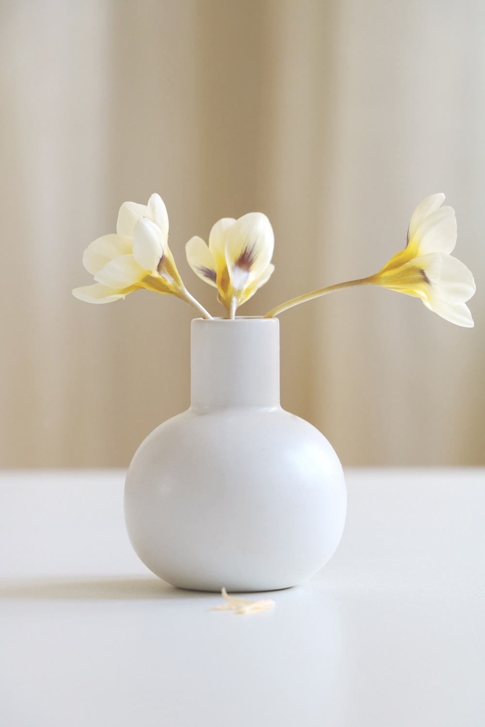 Flaska med låsbart lock PURE White - 3