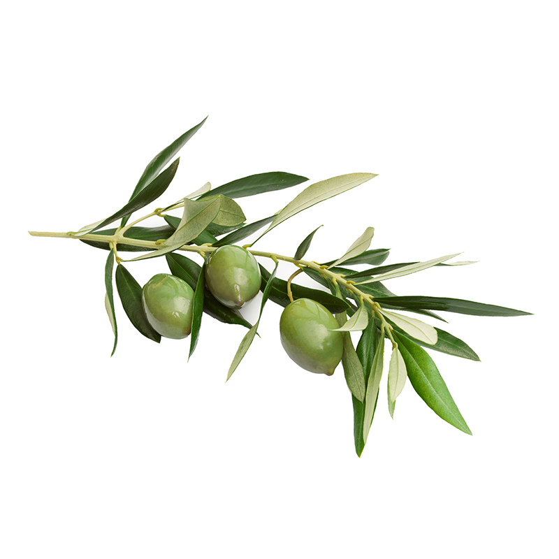 Olive Cleansing  - MARIA ÅKERBERG   - 3