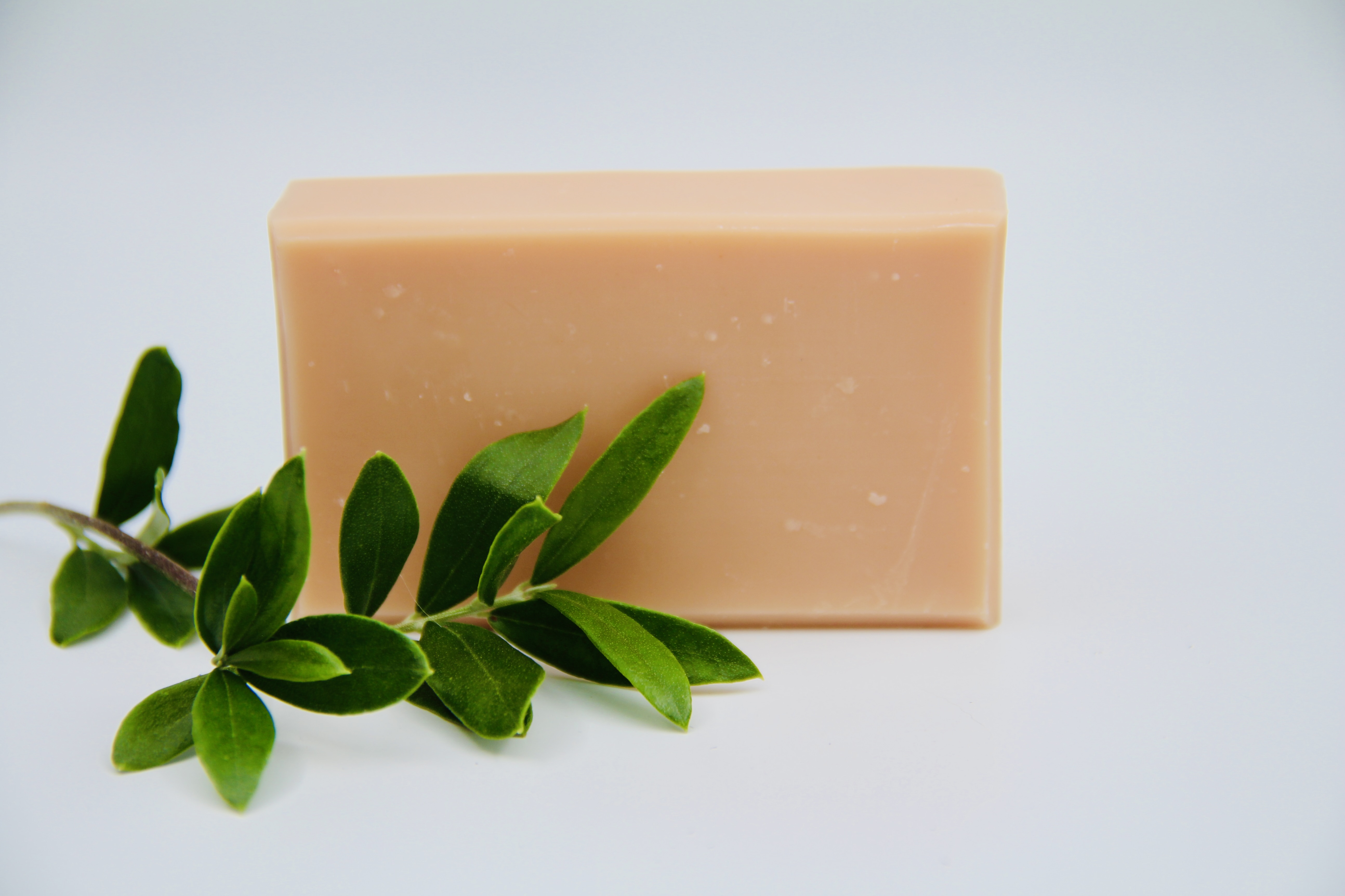 Ekologisk aloe vera