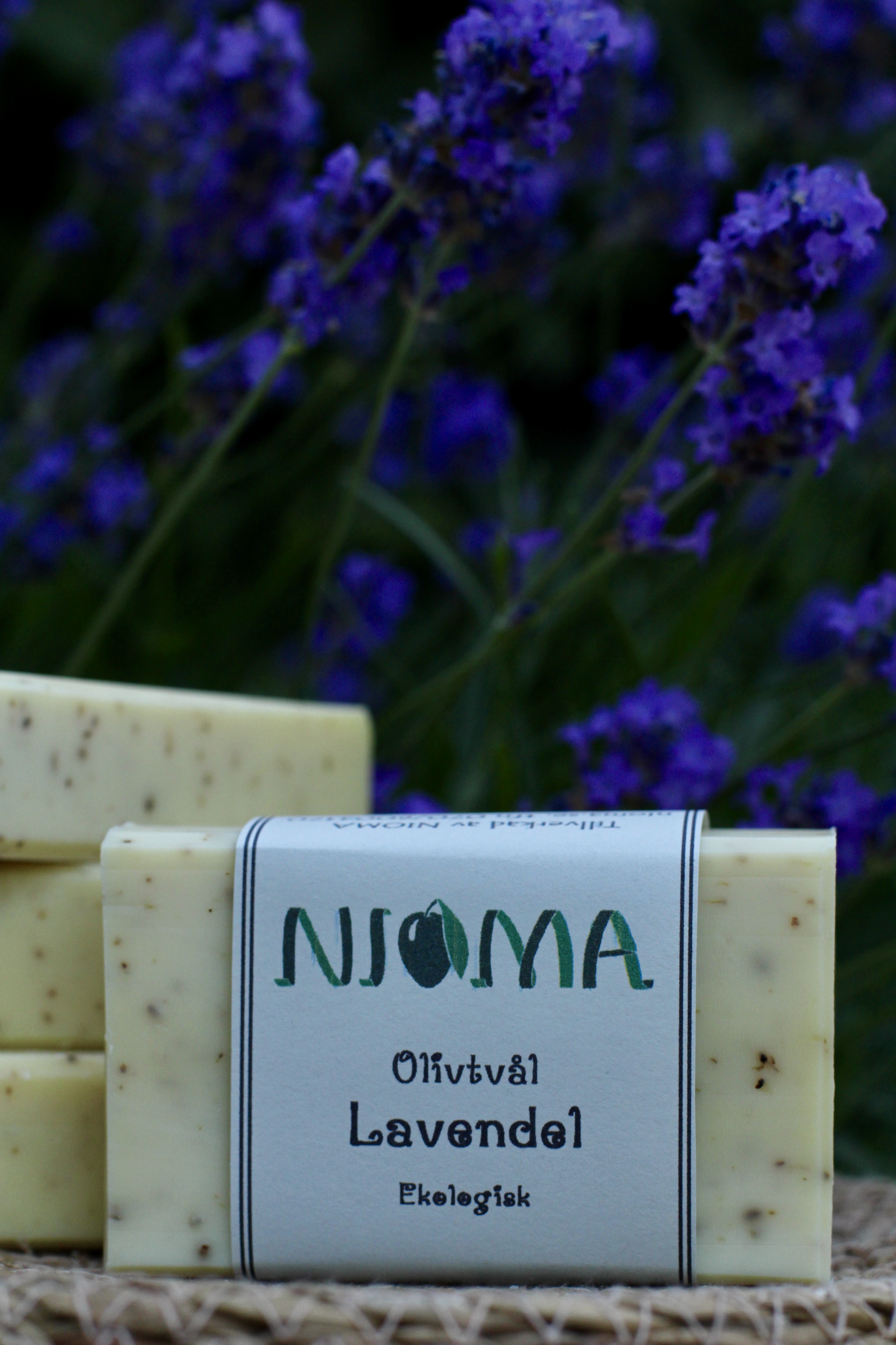 Ekologisk lavendel - 3