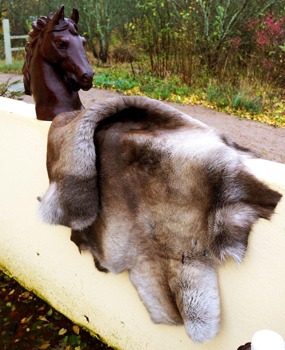 Reindeer fur (saddle pad), L