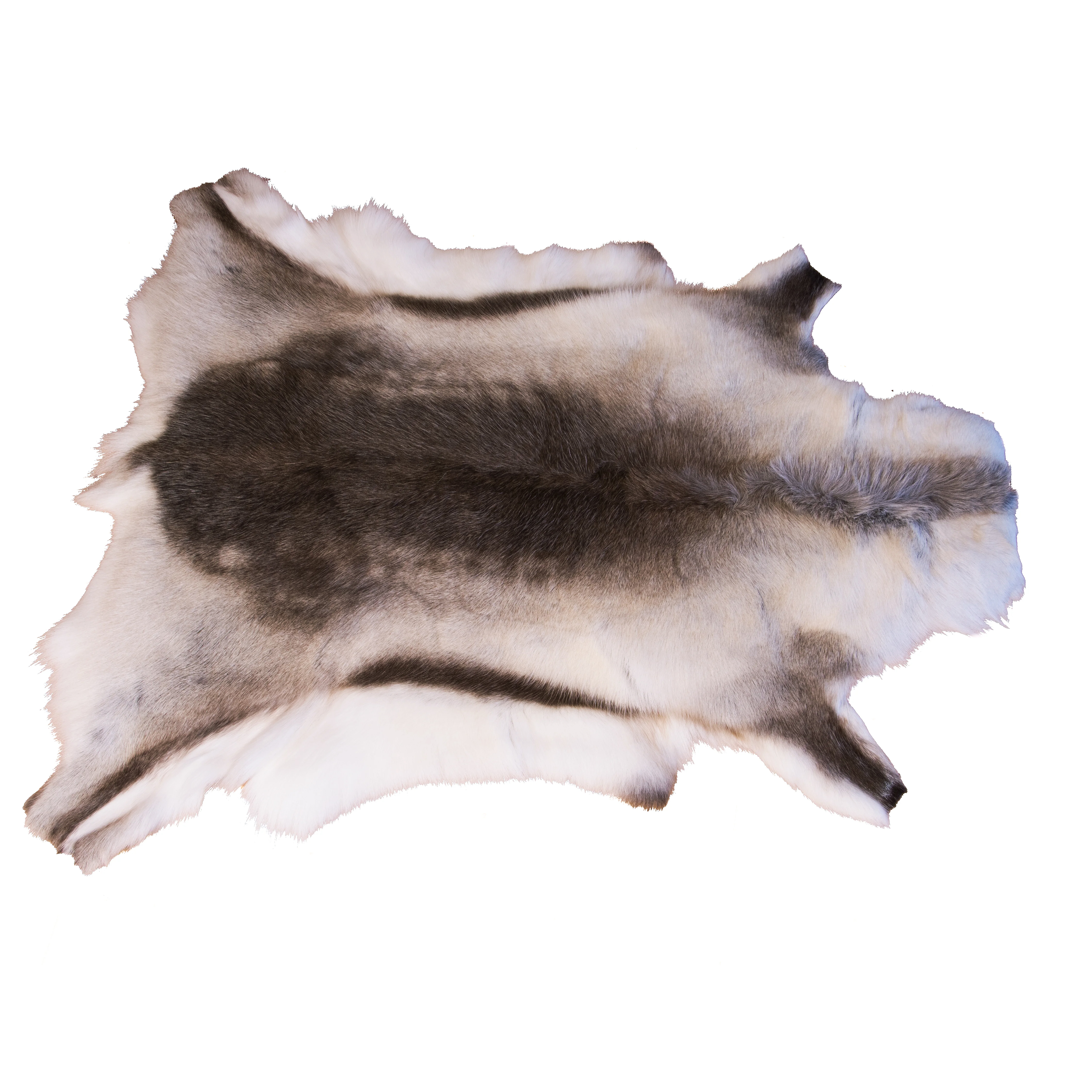 Reindeer fur (saddle pad), L - 5