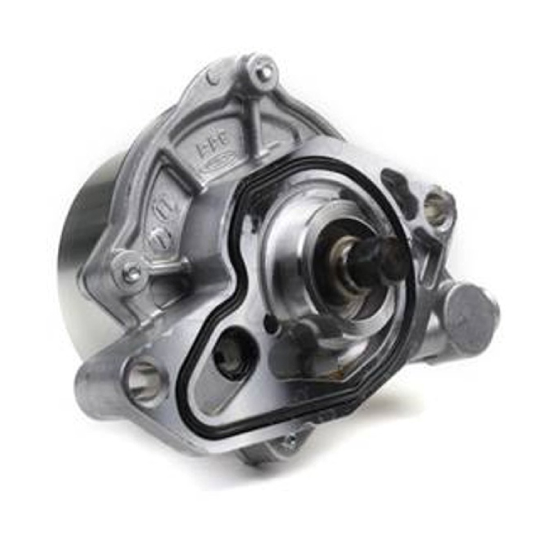 Vakuumpump B207