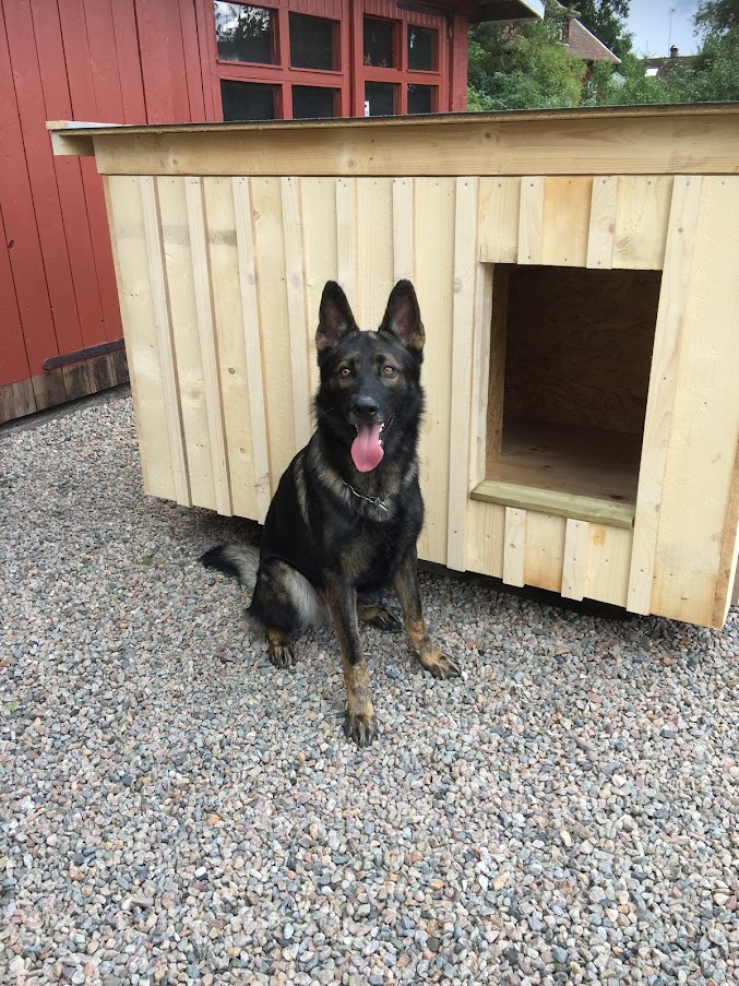 Hundkoja stor