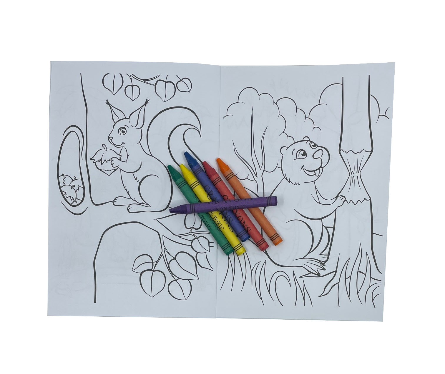 Coloring book including crayons - 4