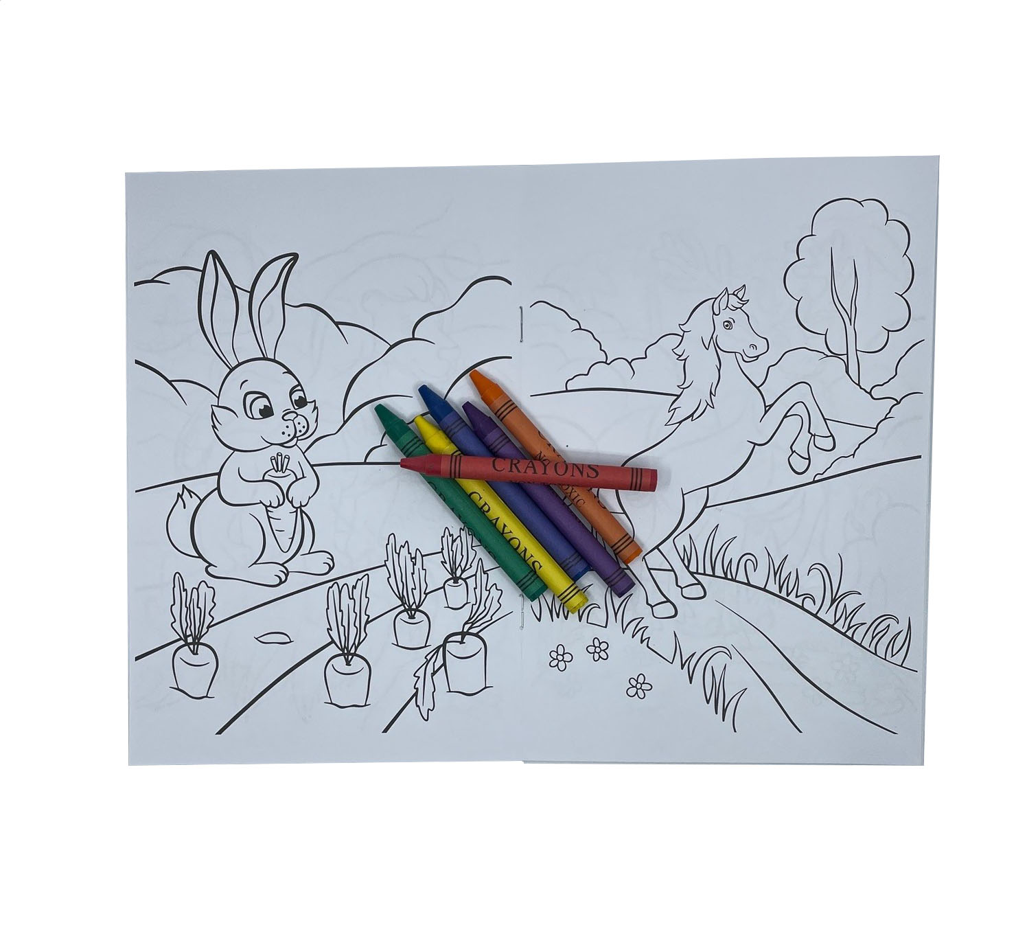 Coloring book including crayons - 3