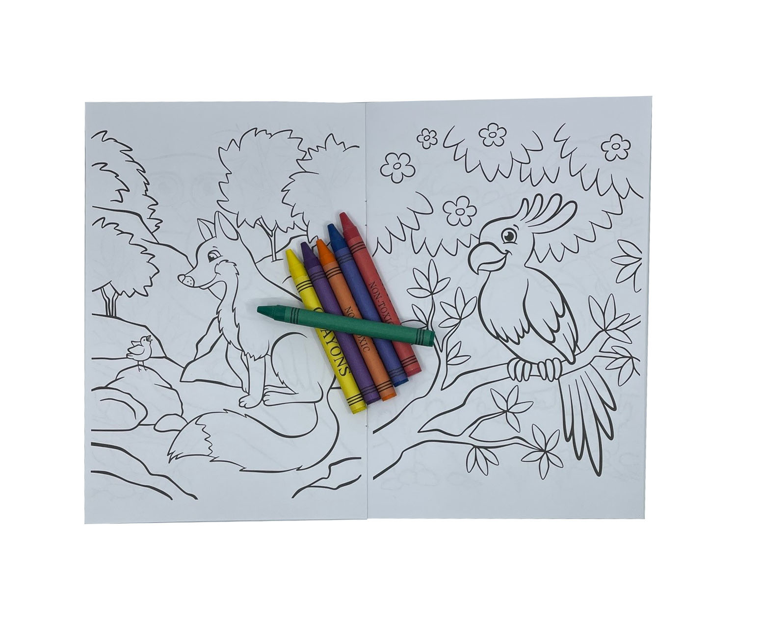 Coloring book including crayons - 2